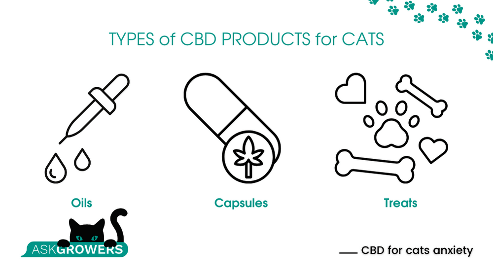 CBD treats for cats with anxiety